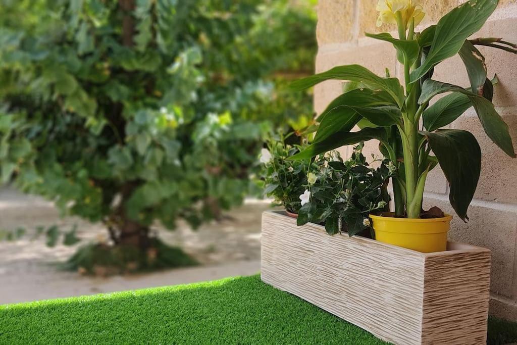 מדרידחוס Finca El Pilar מראה חיצוני תמונה