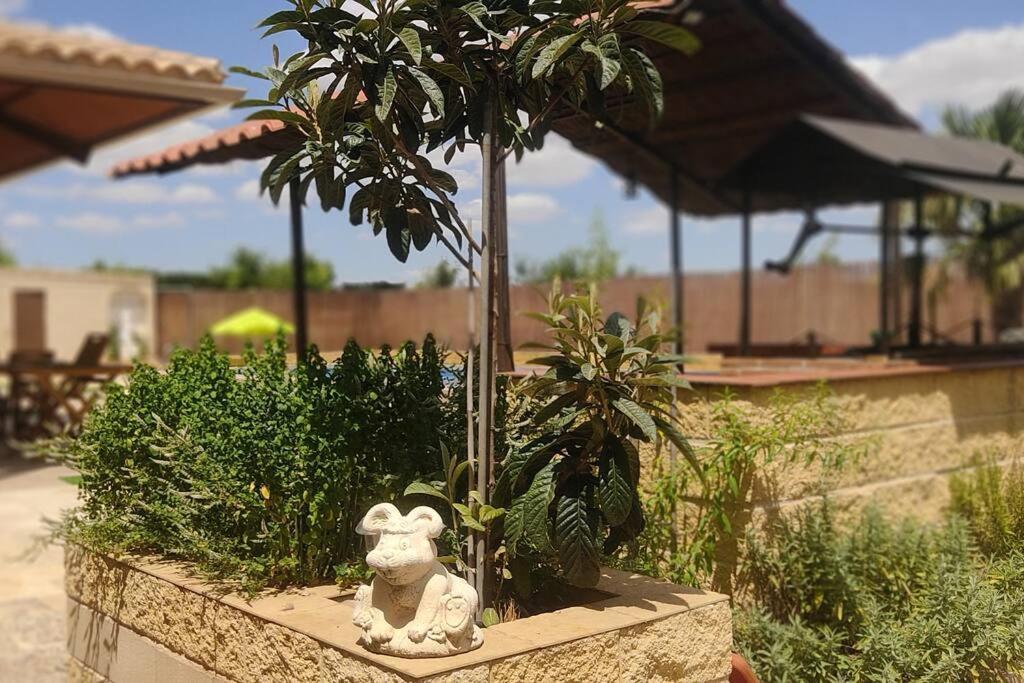 מדרידחוס Finca El Pilar מראה חיצוני תמונה